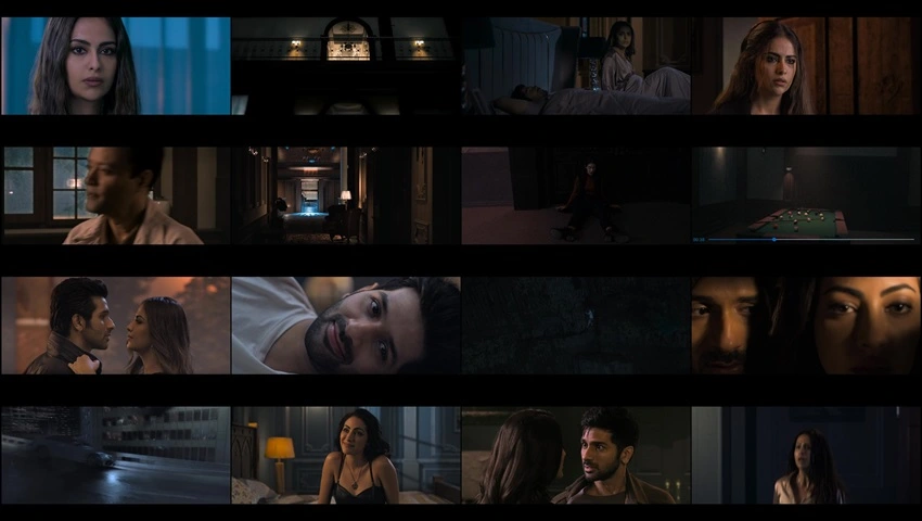 Bloody Ishq | 2024 | Hindi | 480p 720p 1080p