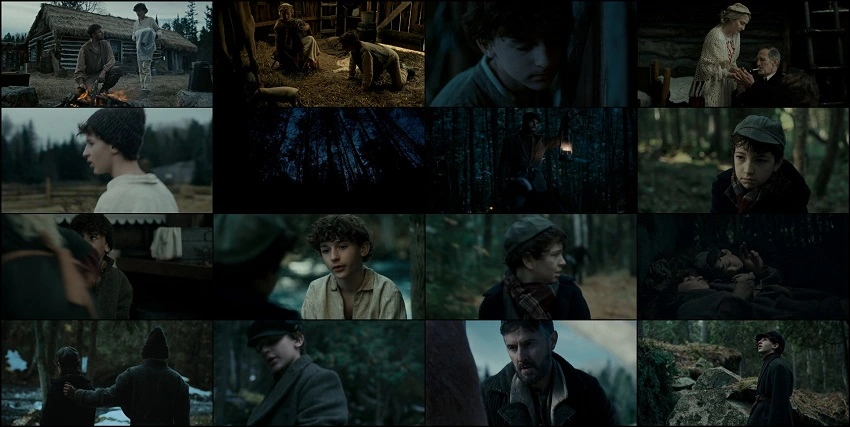 The Boy in the Woods | 2023 | English | 480p 720p 1080p