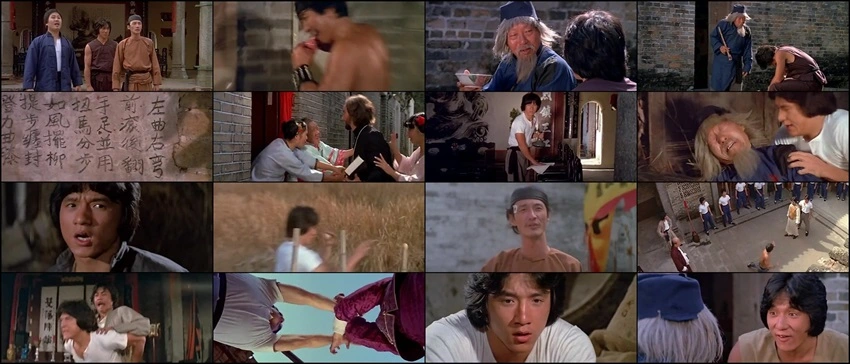 Snake in the Eagles Shadow | 1978 | Hindi-Chinese | 480p 720p 1080p