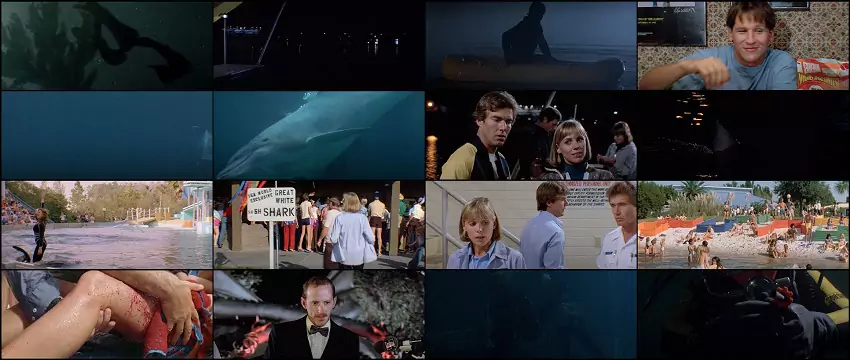 Download Jaws 3 – Jaws 3-D | 1983 | Hindi-English | 480p 720p 1080p