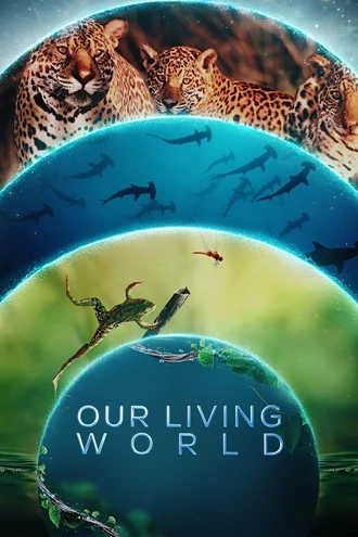 DownloadOur Living World | 2024 | Season 1 | {Hindi-English}| Web Series | 480p 720p 1080p