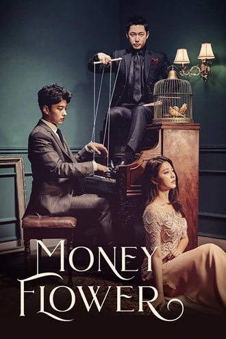 Download Money Flower | 2020 | Season 1 Complete Dual Audio {Hindi-English} Web Series | 480p 720p 1080p