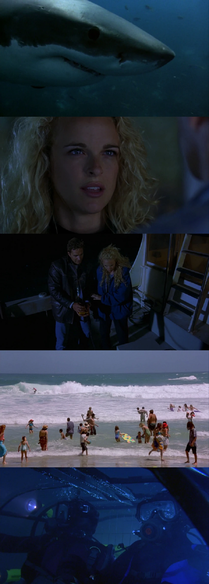 Download Shark Attack 2 | 2000 | Hindi-English | Dual Audio | BluRay 480p 720p 1080p